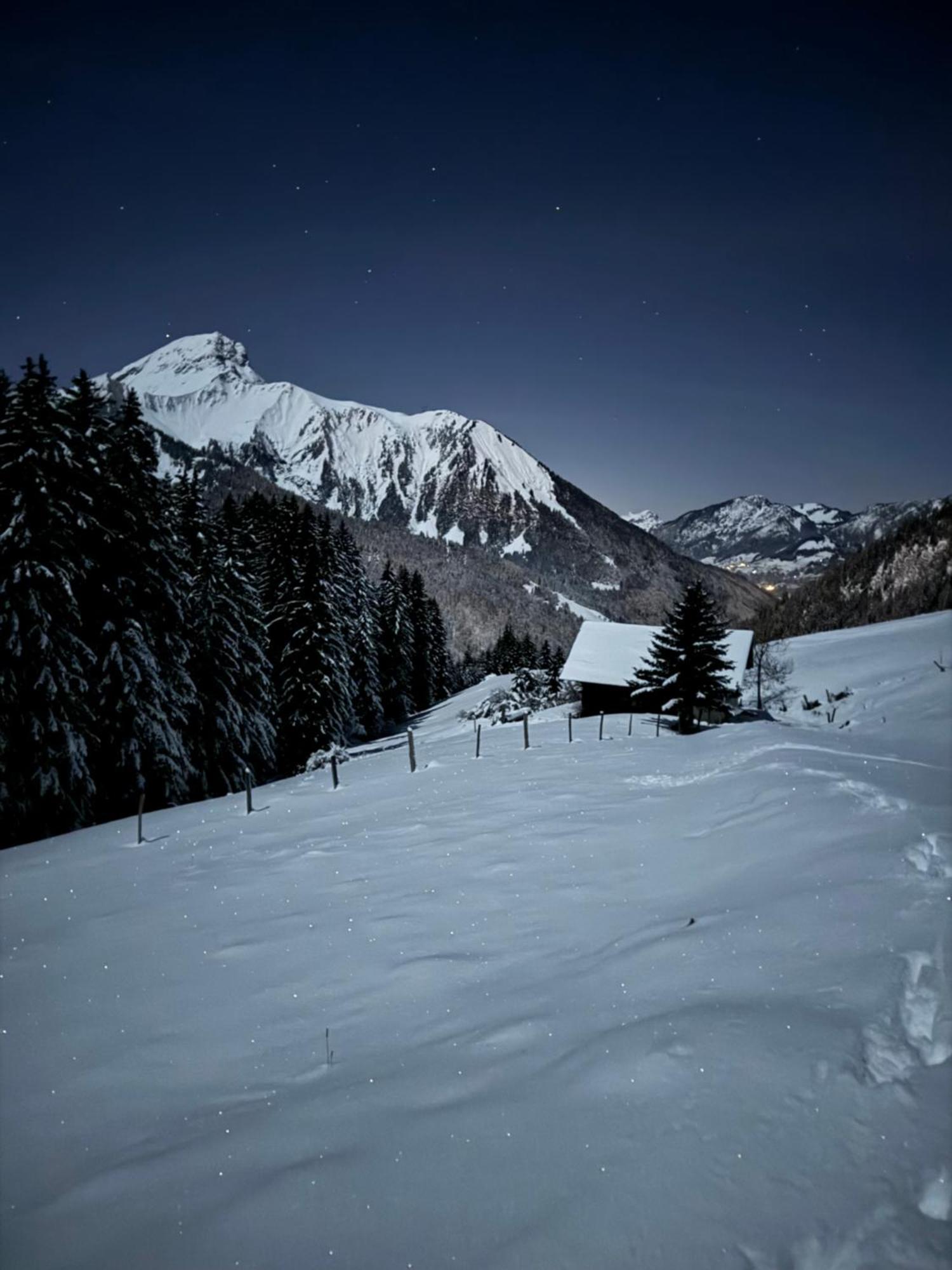 Charming, Cosy Chalet Nestled In A Breathtaking Surrounding With Spectacular, Stunning Mountain Views Abondance Buitenkant foto